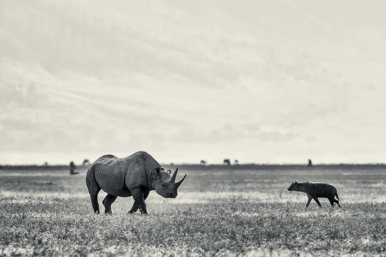 Ngorongoro Serena Safari Lodge Dış mekan fotoğraf
